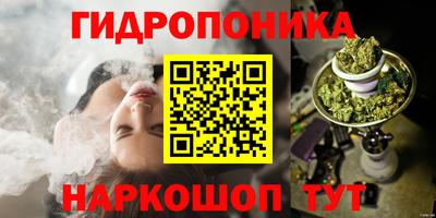 индика Балахна