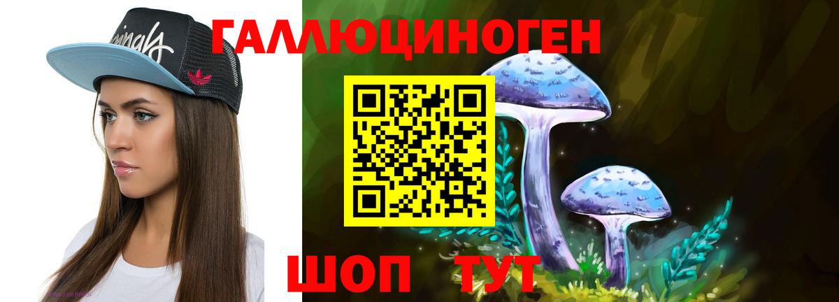 Галлюциногенные грибы Psilocybine cubensis  Вход с VPN  Галлюциногенные грибы Cubensis  Верхняя Пышма 